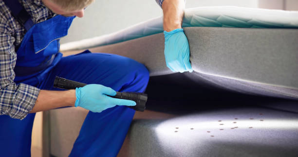 Pest Control for Restaurants in Overland Park, KS