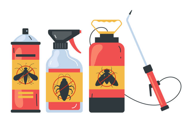 Best Spider Control Near Me  in Overland Park, KS
