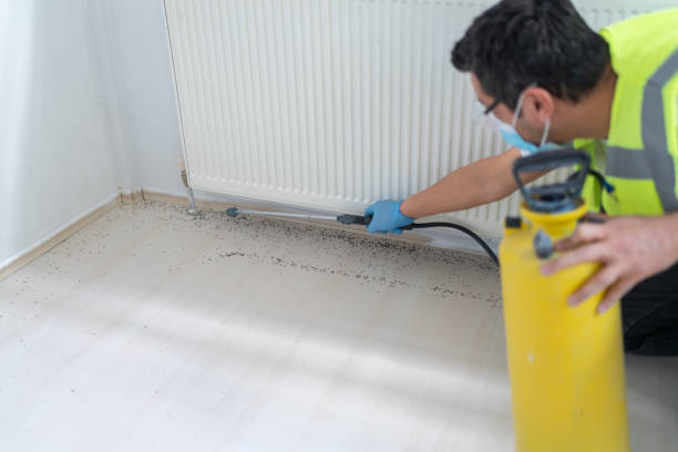 Best Wasp Removal Services  in Overland Park, KS